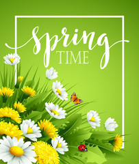 Fresh spring background with grass, dandelions and daisies. Vector illustration