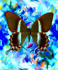 Wall Mural -  illustration of a butterfly, mixed medium, abstract color background, blue, black and white color