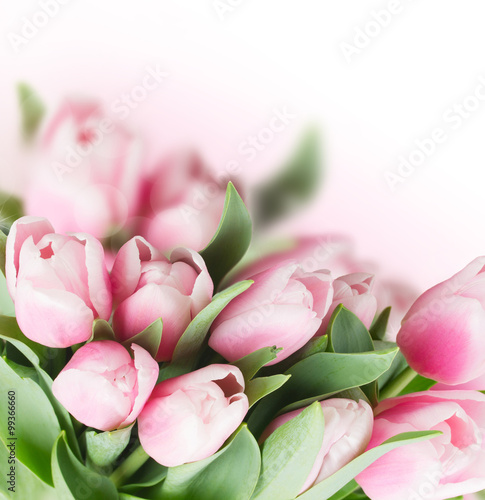 Obraz w ramie pink tulips