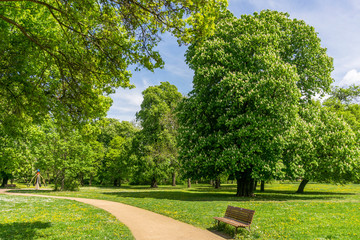 Park im Frühling