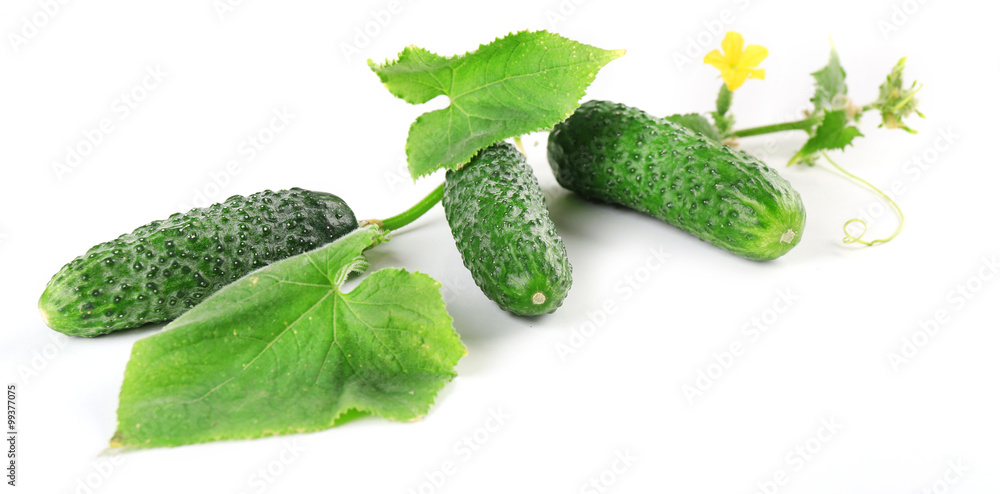 Cucumbers with leafs isolated on white background