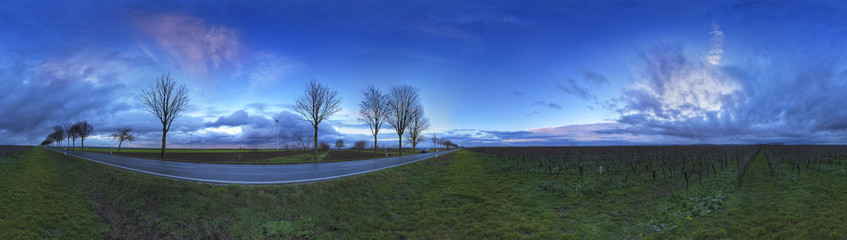 Wall Mural - Panorama Landstraße Pfeddersheim volle 360°