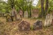 Old Jewish Cemetery at Kolin city, Czech republic