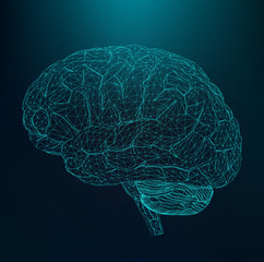 Vector illustration human brain. The structural grid of polygons. Abstract Creative concept vector background. Molecular lattice. Polygonal design style letterhead and brochure.