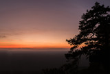 Fototapeta Niebo - Scenery of sunset sky with silhouette of pine trees.