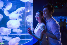 Young Couple In Aquarium