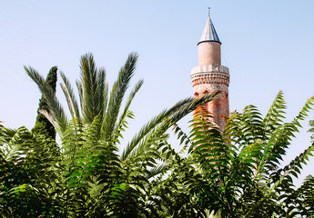 Wall Mural - Yivli minare Mosque