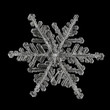 © constantincornel - Extreme magnification - Real snowflake