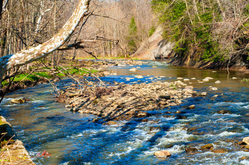 Wall Mural - Babbling brook in springtime