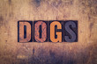 © enterlinedesign - Dogs Concept Wooden Letterpress Type