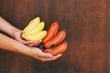Hands holds yellow and red banana on wooden background