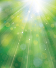 Canvas Print - vector green background with rays and lights.
