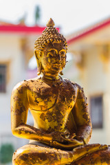 Wall Mural - Buddha gold statue on golden background patterns Thailand