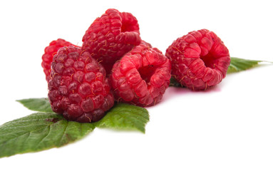 Poster - raspberries