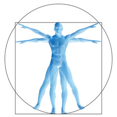 Wall Mural - Vitruvian human or man as a concept, metaphor conceptual 3d proportion anatomy body isolated