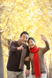 © Blue Jean Images - Senior couple pointing and waving in the park in Autumn