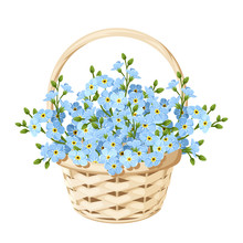 Vector Beige Wicker Basket With Blue Forget-me-not Flowers.