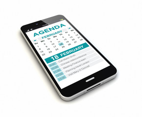 Canvas Print - smartphone organizer render