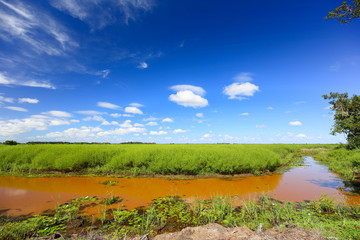 Muddy river banks with blue sky and green field.