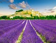 Provence au coucher de soleil, Sud de la France