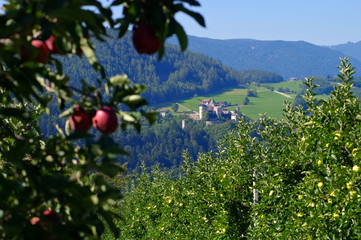 Poster - Proesels Schloss - Proesels castle 08