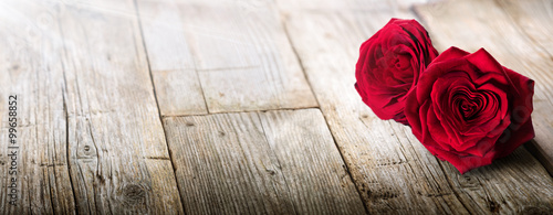 valentines-card-sunlight-on-two-roses-in