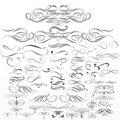 Wall Mural - Set of vector calligraphic elements and page decorations