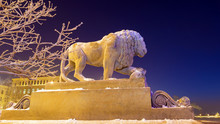 Lion On The Admiralty Embankment In Saint-Petersburg In Winter
