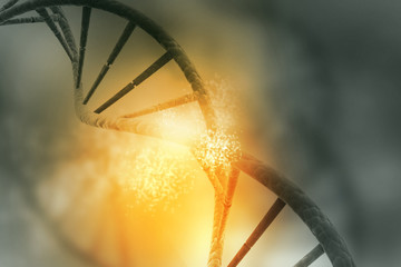 Wall Mural - DNA structure on colour background .