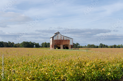 Aging Tobacco Barn Buy This Stock Photo And Explore Similar