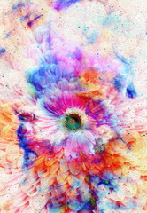 Poster - Space and stars with flower, color galaxi  background, computer collage. 