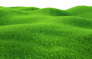 Wall Mural - Green grass growing on hills with white background top view