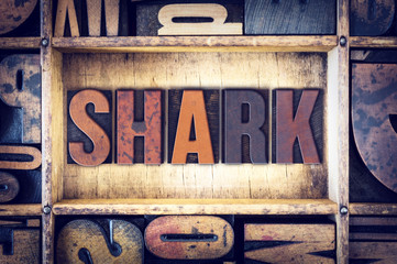 Sticker - Shark Concept Letterpress Type