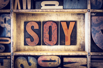 Wall Mural - Soy Concept Letterpress Type