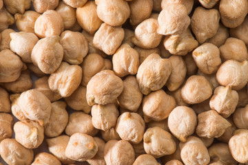 Canvas Print - Chickpea