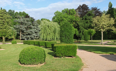 Wall Mural - Parc paysager