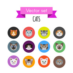 Canvas Print - Set of cat icons