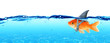 canvas print picture - Small Fish With Ambitions Of A Big Shark - Business Concept
