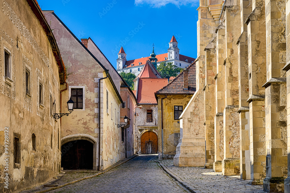 Obraz na płótnie Old town and castle of Bratislava, Slovakia w salonie