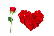 Single Red Rose And Red Heart By Rose Petals
