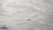 5 USAF Thunderbirds Fly Away From Camera In Formation In Super Slow Motion, With A Beautifully Overcast Sky In The Background.