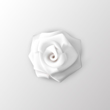 3d Vector White Rose Flower On A White Background.