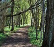 © l1m2e3 - Vår promenad