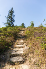 Wall Mural - Step to the mountain