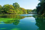 Fototapeta Krajobraz - Il laghetto di Central Park, lago, polmone verde, natura, alberi, parco pubblico, New York
