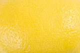 Fototapeta Perspektywa 3d - Yellow Lemon Peel Texture Macro