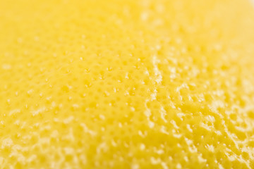 Wall Mural - Yellow Lemon Peel Texture Macro