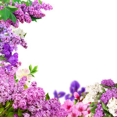  Beautiful frame with flowers on white background