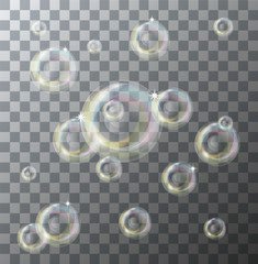 Wall Mural - vector modern soap bubbles on background