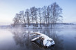 canvas print picture - Winter dawn